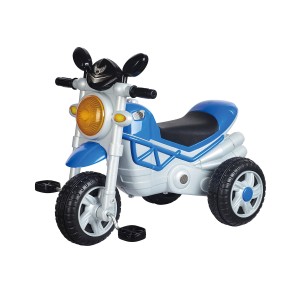 Robins Kids Tricycle